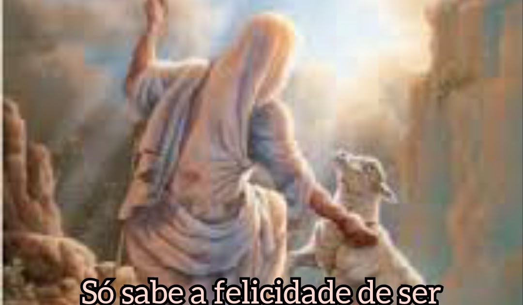 brasil franciscano deus nos salva por sua divina misericÓrdia