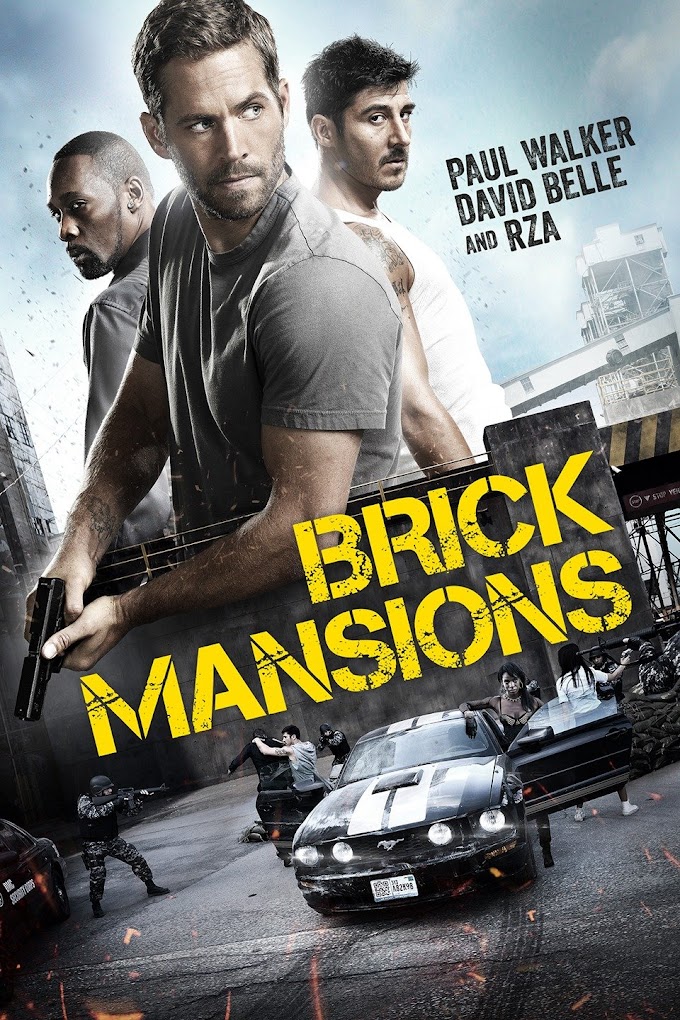 Brick Mansions (2014) Hindi Dual Audio 720p BluRay [950MB]