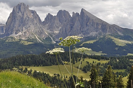 Sasso lungoDSC_0498