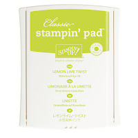 https://www3.stampinup.com/ecweb/ProductDetails.aspx?productID=147209&dbwsdemoid=4005871