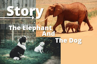 Dog and Elephant The story of the Dog and the Elephant