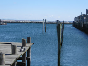 On Vacation - The Towns of Cape Cod!