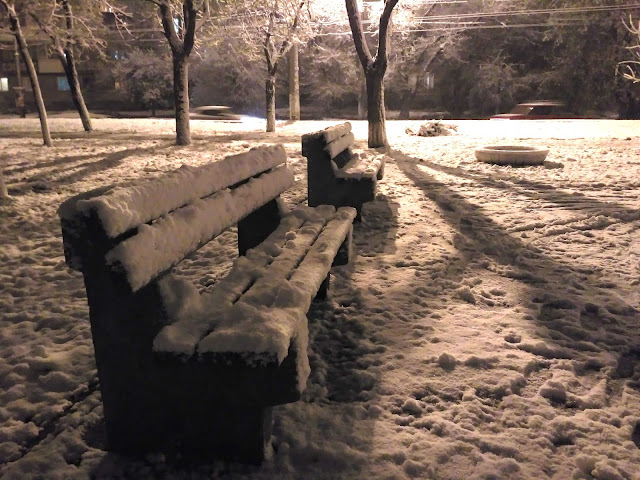 первый снег в городе