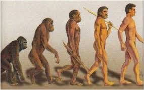 Contoh Evolusi Pada Binatang - Contoh Soal2