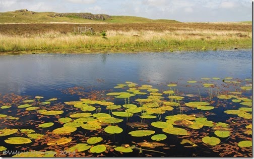 11-Glenwhan-Moor