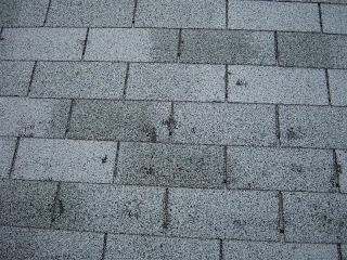 Repair my shingle roof