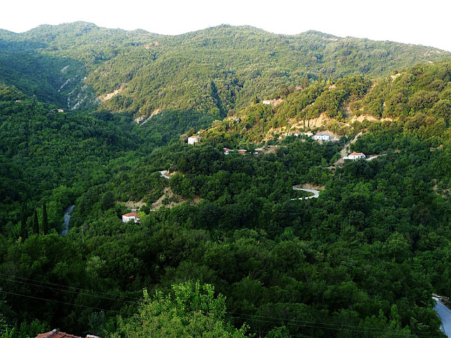 Θεσπρωτία: Στο Κρυονέρι Φιλιατών το μεγαλύτερο ποσοστό αποχής από τις εκλογές στην Ήπειρο