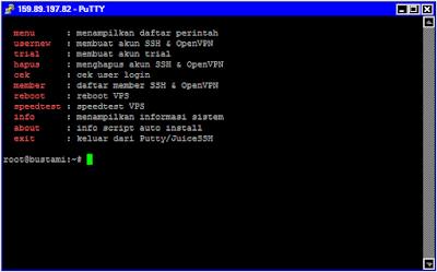 Script Auto Install SSH dan OpenVPN untuk VPS Debian 10 64 bit