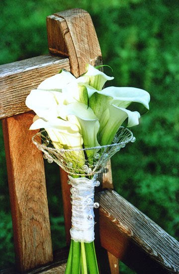 Gorgeous white calla lilies wedding bouquet with green foliage