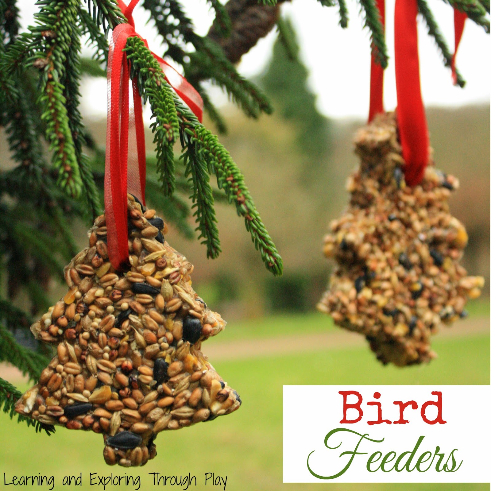 http://learningandexploringthroughplay.blogspot.co.uk/2014/12/homemade-bird-feeders.html