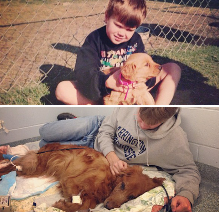 30 Heart-Warming Photos Of Dogs Growing Up Together With Their Owners - Someone Dear To Me Passed Away Today. This Is My Best Friend Genevieve, On The First Day We Met, And The Last Day