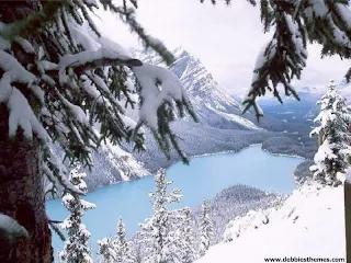 Imágenes de paisajes navieños alrededor del mundo.