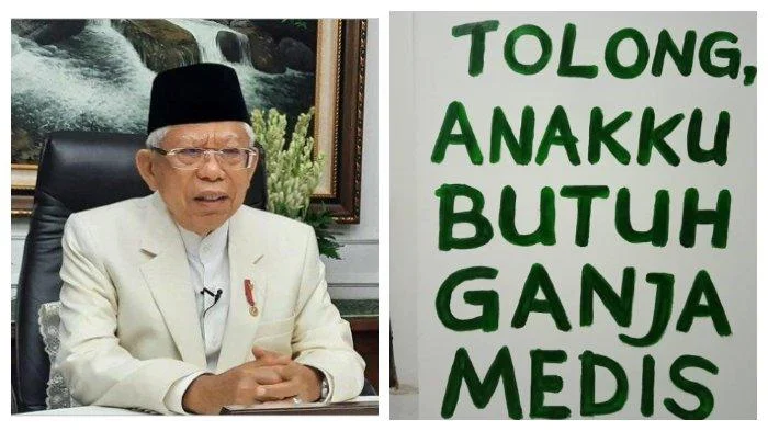 Wapres Ma'ruf Amin: Saya Minta MUI Segera Keluarkan Fatwa Legalisasi Ganja untuk Medis