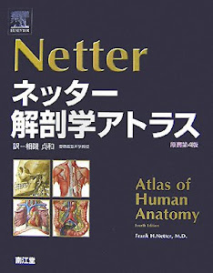 ネッター解剖学アトラス 原書第4版