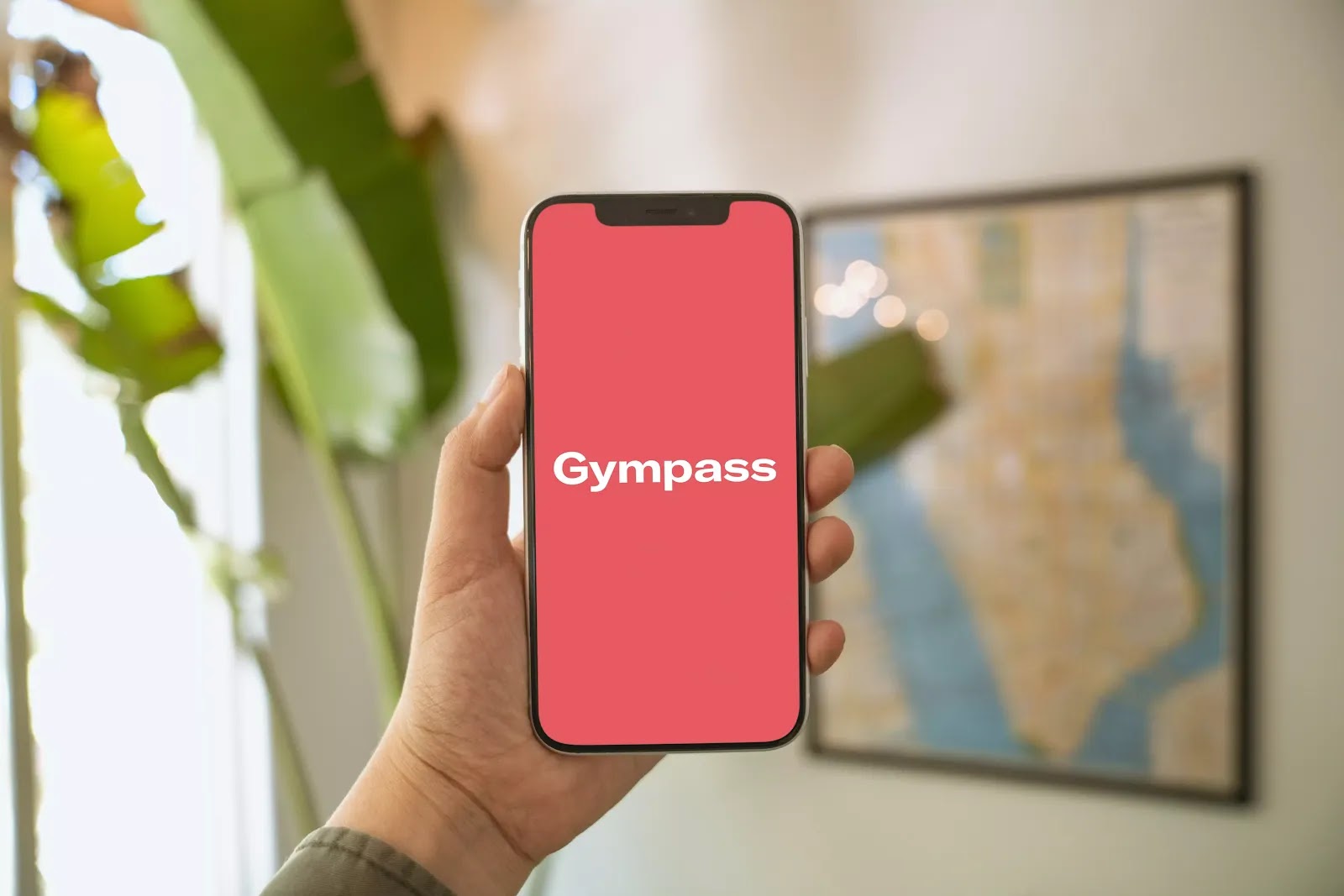 Gympass lança Plano Free para os associados da ANAFE - Anafe