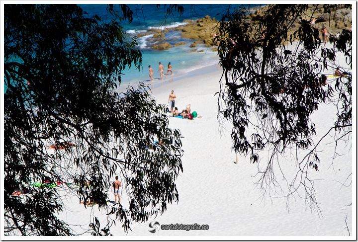 cies-38