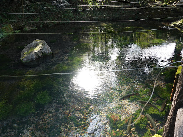 鳥取県米子市淀江町高井谷　天の真名井