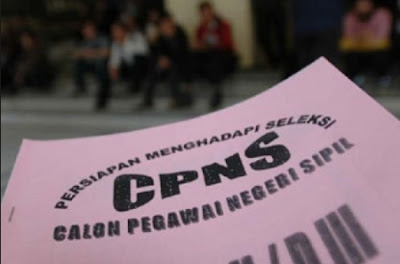 Berikut 141 Daerah Telah Ajukan Usulan Kebutuhan CPNS 2017 