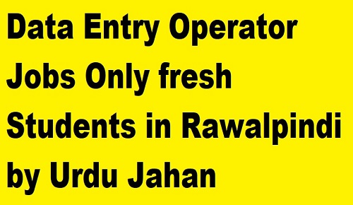 Data Entry Operator Jobs Only fresh Students in Rawalpindi by Urdu Jahan