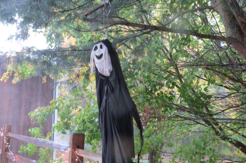 Halloween decoration in the rain