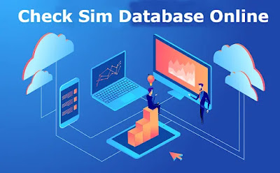 SIM Database Online All Network Information