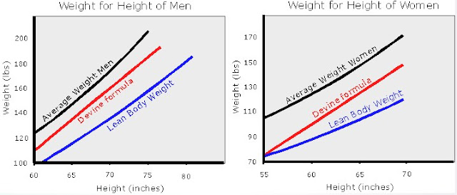 Lean Body Weight