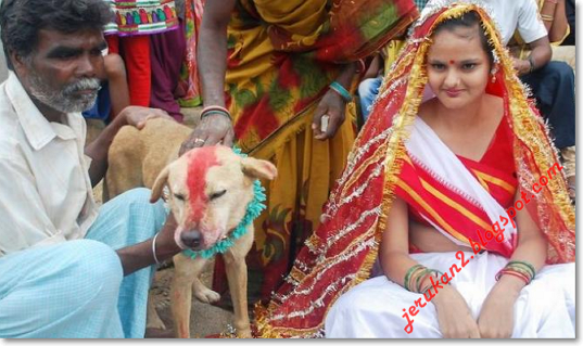 Gadis Menikah Dengan Anjing