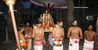 Aani,Suirya PRabhai, Purappadu , Vahanam,Sri Theliya Singar, Yoga Narasimhar,Brahmotsavam ,Purappadu,Video, Divya Prabhandam,Sri Parthasarathy Perumal, Triplicane,Thiruvallikeni,Utsavam,