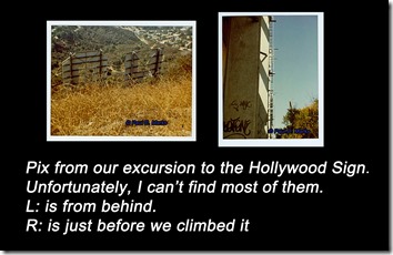 Hollywood Sign Collage D1a