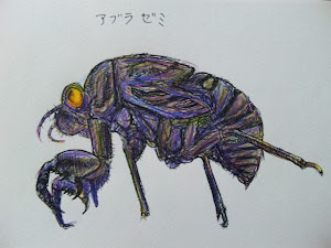 絵を描いています