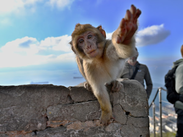 Andalusie 2020 - Gibraltar a El Torcal podruhé