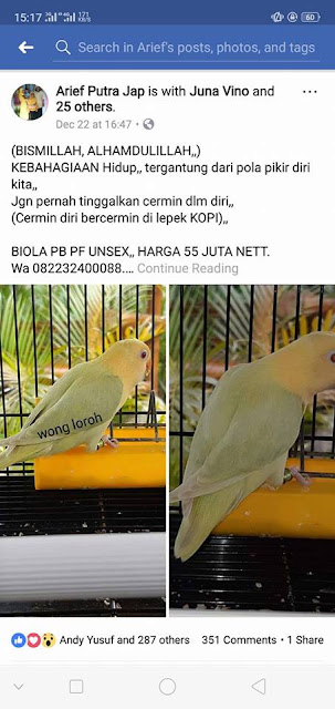 Ini dia Rumus Rahasia Mencetak Biola Parblue Pale Fallow