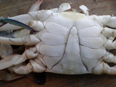 Ketam Masak Cili mudah dan ringkas - masam manis