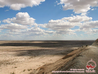 Ustyurt Plateau. Uzbekistan