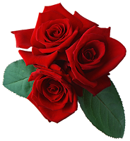 Три цветка роз+пара листьев,подходит для украшения фото,фон прозрачный,файл пнг(png)вид сверху,уголок,скачать бесплатно,качество отличное+хорошее