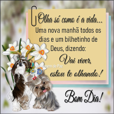 Olha só como é a vida...  Uma nova manhã todos os dias   e um bilhetinho de Deus, dizendo:  Vai viver, estou te olhando!  Bom Dia!