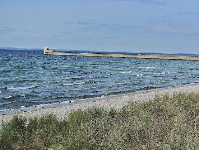 Hel, plaża, gdzie można spotkać foki na Półwyspie 