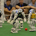 Japanese Champion Robot Soccer World Cup