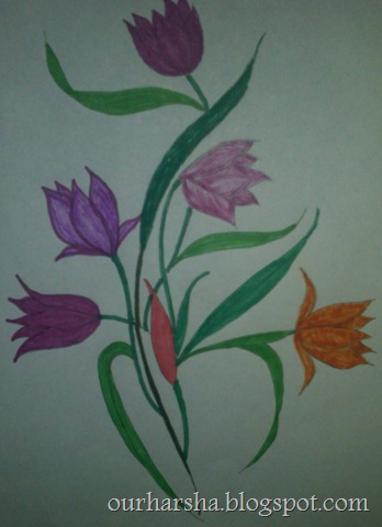 Ixia flower 26