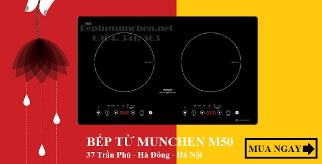 bếp từ munchen m50