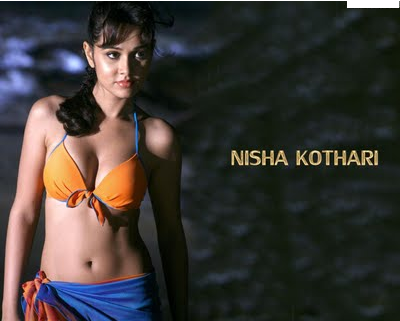 Nisha Kothari Wardrobe Malfunction Images