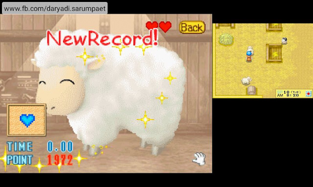 harvest moon ds nds game minigame sheep