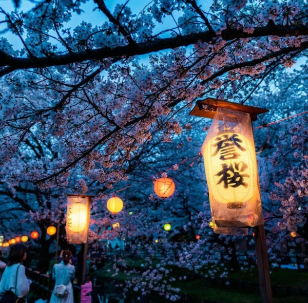 7 Festival Musim Semi di Jepang yang Sayang untuk Dilewatkan