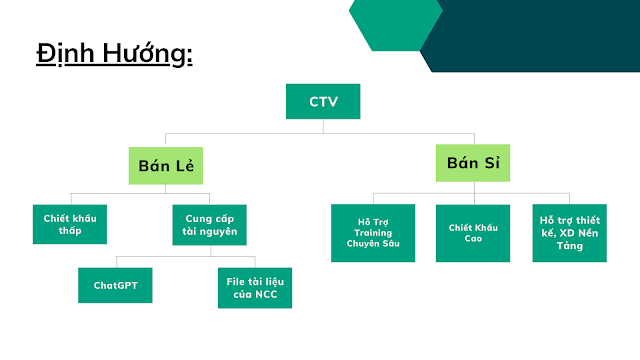 Định hướng phát triển mô hình Cộng tác viên