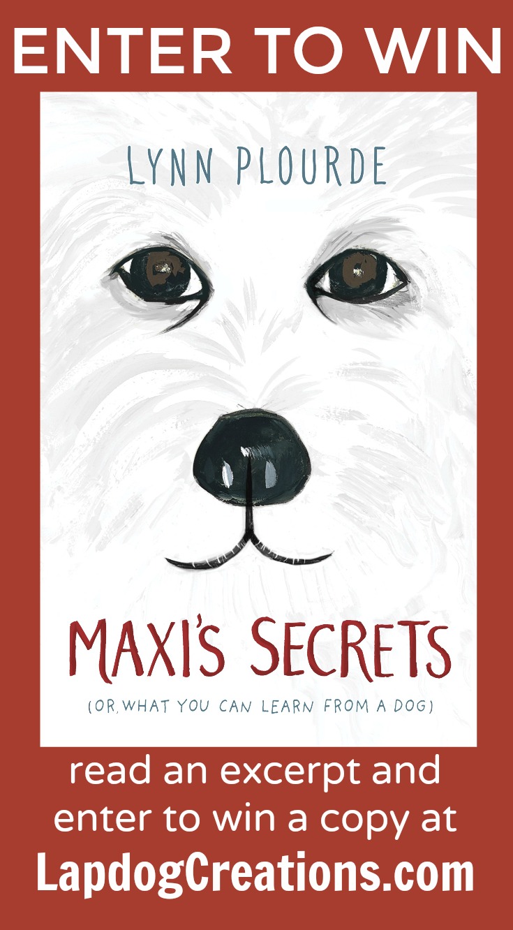 Maxi s Secrets book