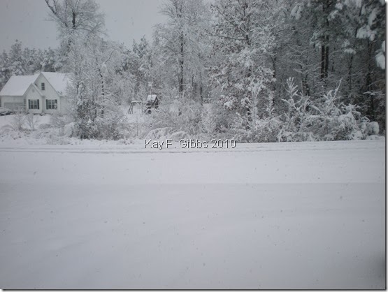 Images 2012 1572