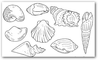 Dibujos para colorear caracoles de mar