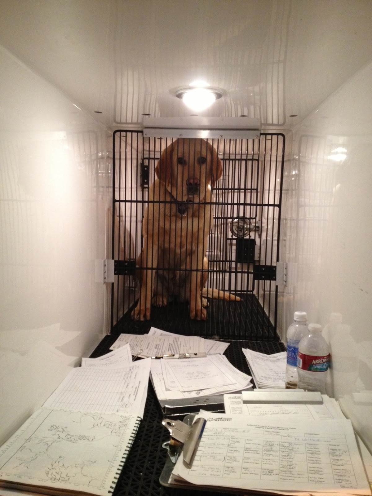 Emergency Updates: Jefferson County Sheriff's Office: Animal Rescue and