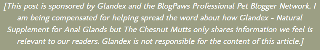 [This post is sponsored by Glandex and the BlogPaws Professional Pet Blogger Network. I am being compensated for helping spread the word about how Glandex – Natural Supplement for Anal Glands but The Chesnut Mutts only shares information we feel is relevant to our readers. Glandex is not responsible for the content of this article.]