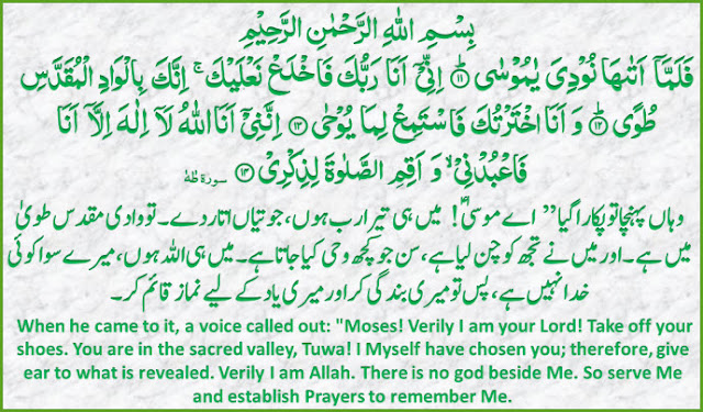 Daily Quran 